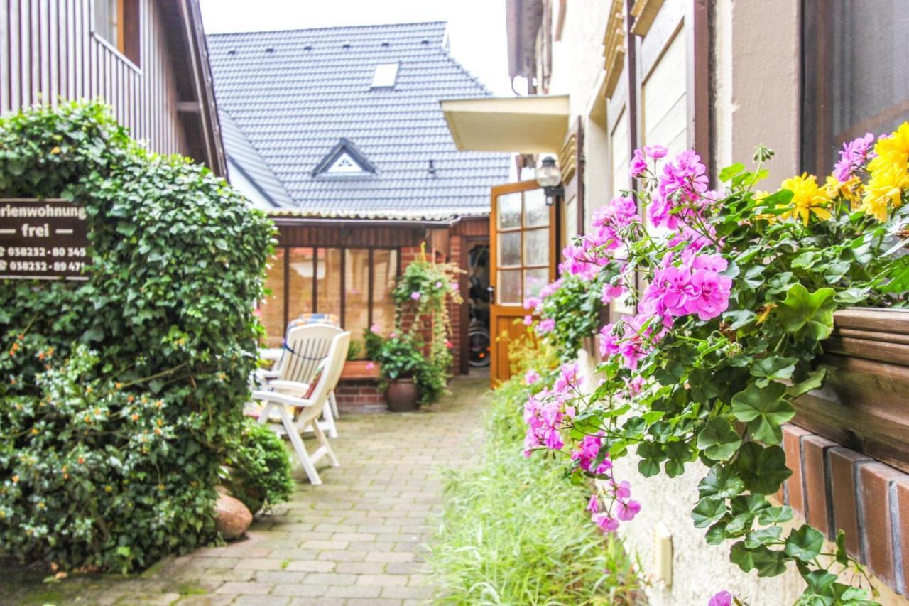 Apartament Likedeeler 3 Zingst Zewnętrze zdjęcie