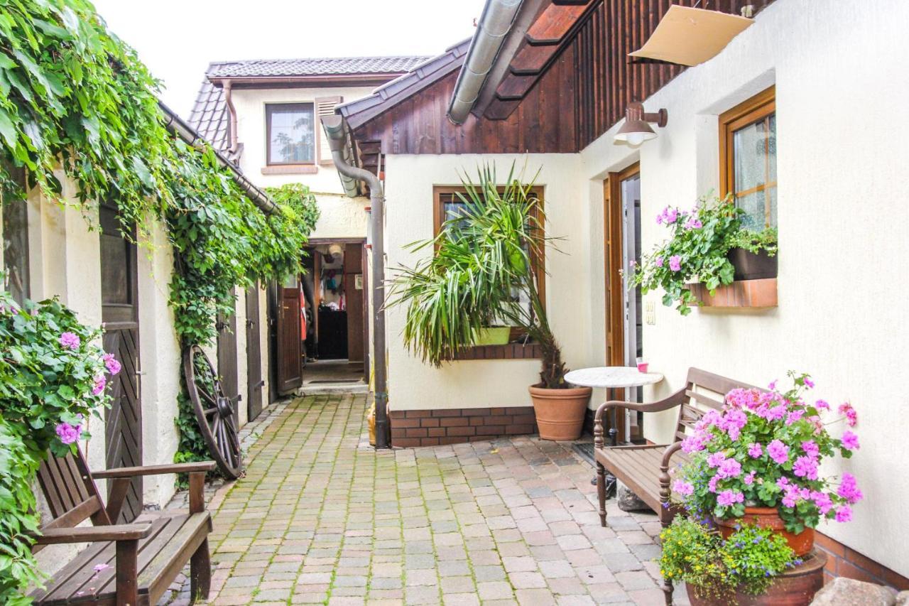 Apartament Likedeeler 3 Zingst Zewnętrze zdjęcie
